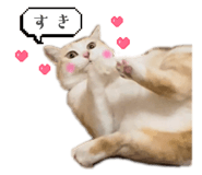 858082444