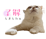 858082447