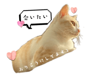 858082450
