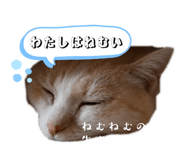 858082454