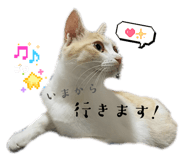 858082456