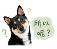 858086081