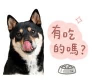 858086086