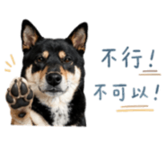 858086092