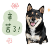 858086094