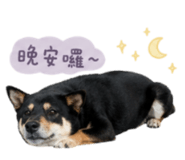 858086095
