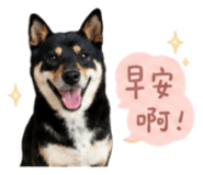 858086096