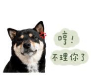 858086100