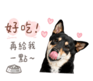 858086104