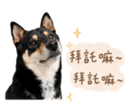 858086106