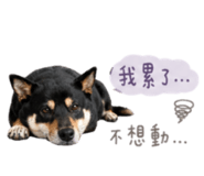858086107