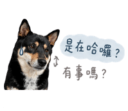 858086108