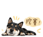858086109