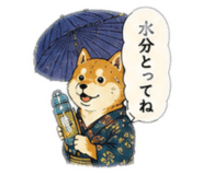 858088705