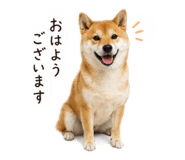 858088977