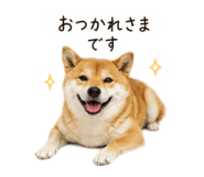 858088979