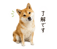 858088980