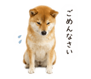 858088982