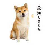 858088984