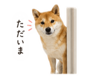 858088985