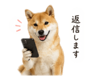 858088988