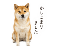 858088990