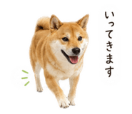 858088991