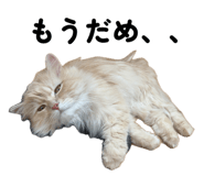 858089953