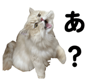858089955