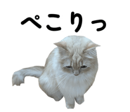 858089956