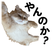 858089957