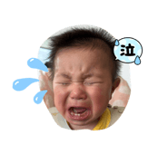 858090604