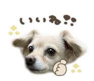 858091360
