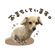 858091361