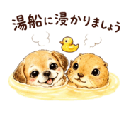 858093234