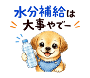 858093243