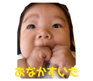 858093686
