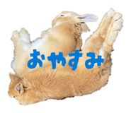 858093993