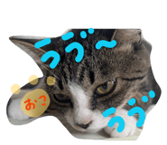858094288