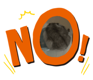 858094729