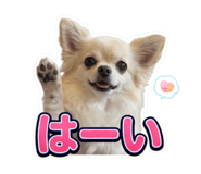 858095035