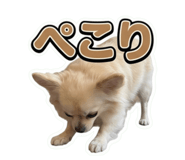 858095036
