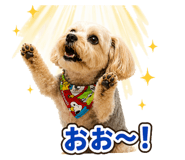 858095652