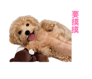 858098235