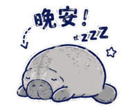 858107716