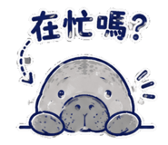 858107717