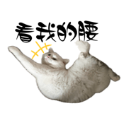 858110065