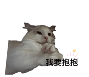 858110072
