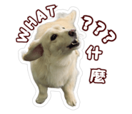 858110184