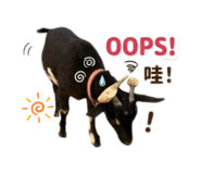 858111948